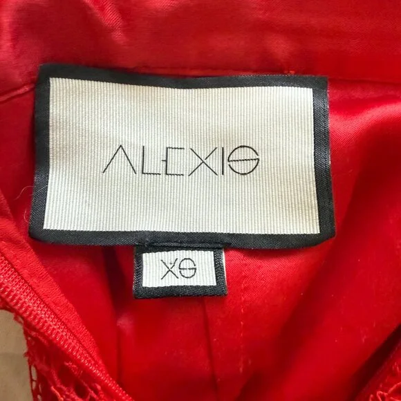 Alexis Scarlet Lace Mini Skirt - Picture 3 of 4